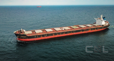 CNL delivered Pet Chip to the USA via two breakbulk vessels.